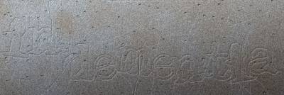 logo In Dementia (POR)